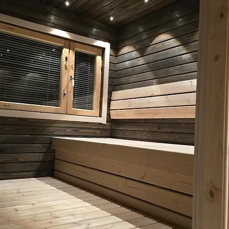 Elves Eco Design House A * Rovaniemi