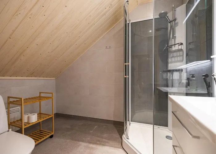 Elves Eco Design House A * 罗瓦涅米